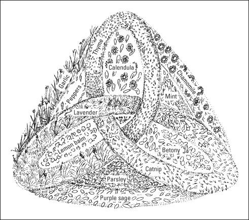 تصميم حديقة أعشاب