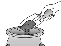 كيفية زرع وعاء الفراولة