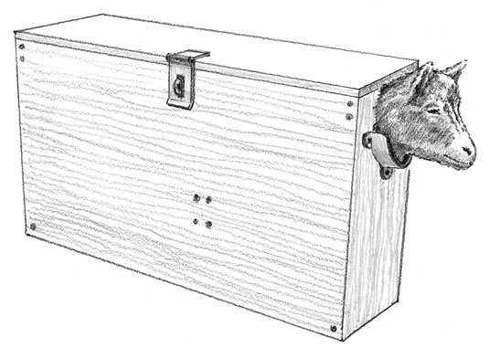 كيف تزعج طفل (طفل الماعز)