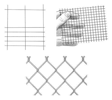 تم حل 10 مشاكل دجاج شائعة