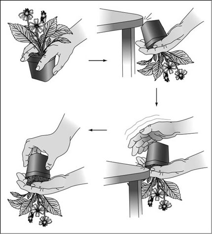 خطوات ريبوتينج مانعة للخداع