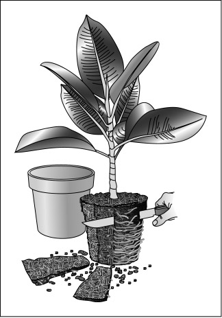 خطوات ريبوتينج مانعة للخداع