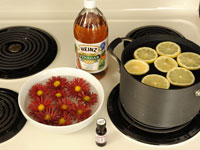 استنشاق بدائل معطر الهواء