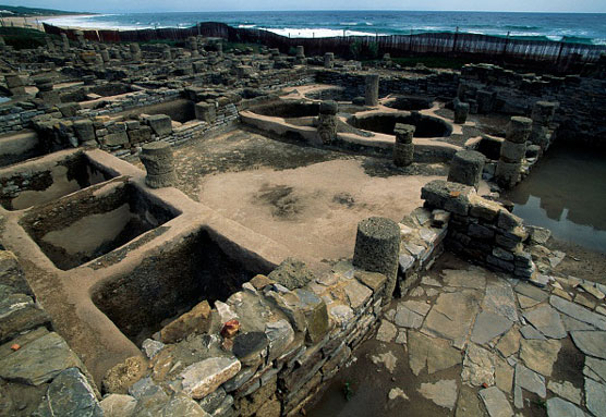 كيفية اختيار توابل شاركوتيري