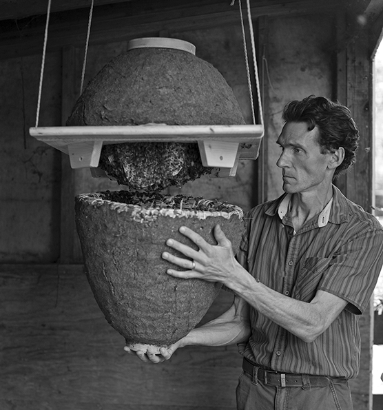 أي خلية نحل تلبي احتياجاتك؟