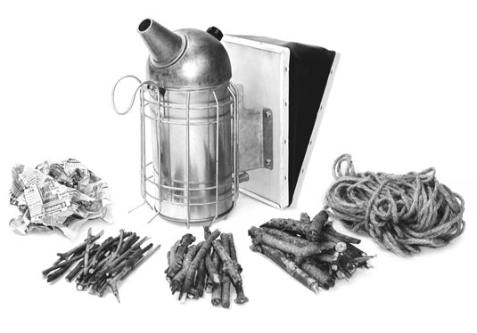 كيف تخطط لفحص خلية النحل الأول