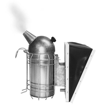 كيف تخطط لفحص خلية النحل الأول