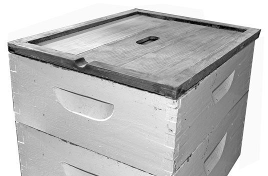 كيفية التعرف على أجزاء الأدوات الخشبية الأساسية لخلية النحل