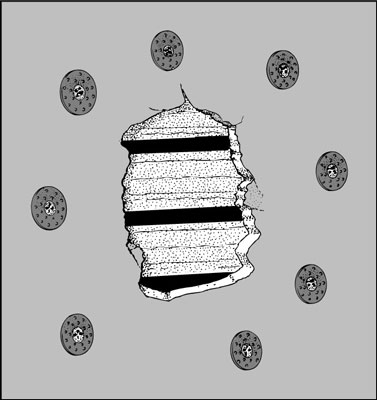 كيفية إصلاح ترهل الجص على الجدران والأسقف