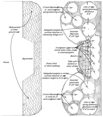 خطة المناظر الطبيعية: إنشاء مهرب في ساحة جانبية