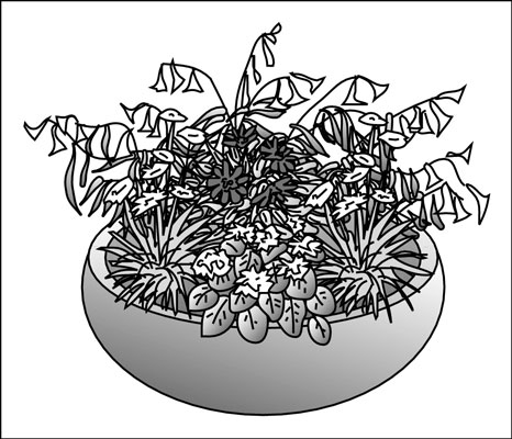 ازرع حديقة حاويات معطرة