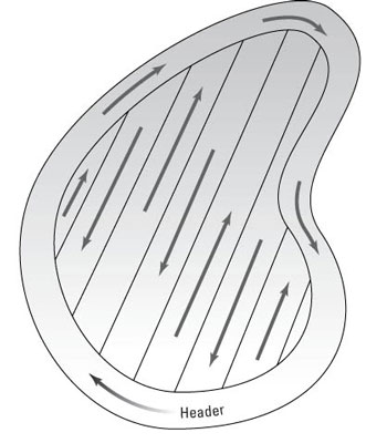 كيفية تطبيق سماد العشب