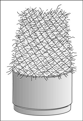 كيفية Overwinter حاوية المعمرة