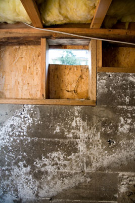 كيفية فصل الشتاء عن مؤسستك ، ومساحة الزحف ، والخارجية