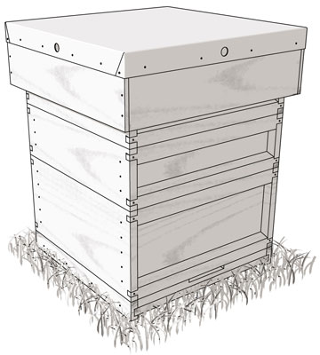 قائمة الإحصائيات والمواد الحيوية للخلية الوطنية البريطانية