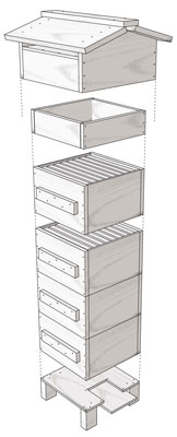 كيفية تجميع خلية Warré