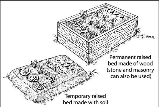 الزراعة مع أسرة مرتفعة في بيئة حضرية