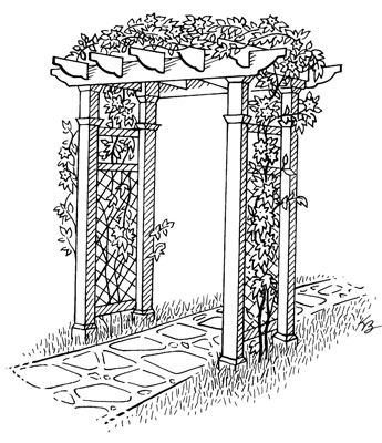 كيفية بناء حديقة عمودية