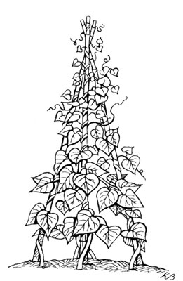 كيفية بناء حديقة عمودية