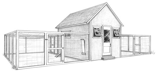 كيف تصنع يوتوبيا دجاج