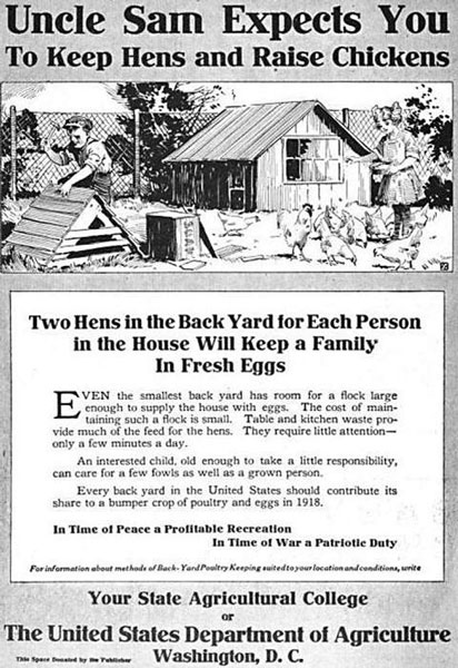 تطور البستنة وتربية الدجاج